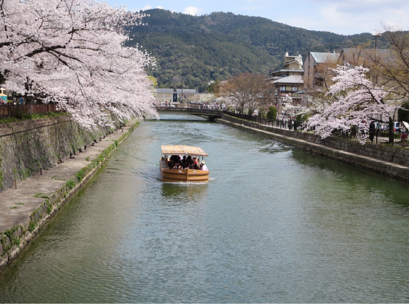 白内障の見え方：正常の場合